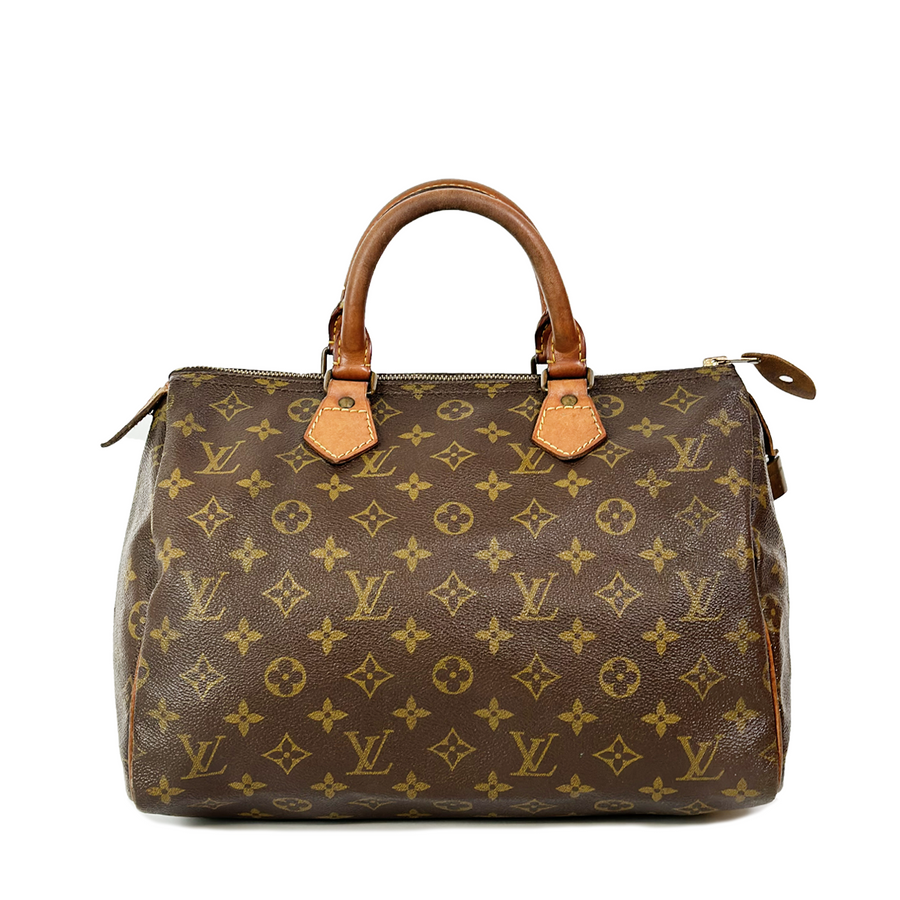 Louis Vuitton Speedy (30)