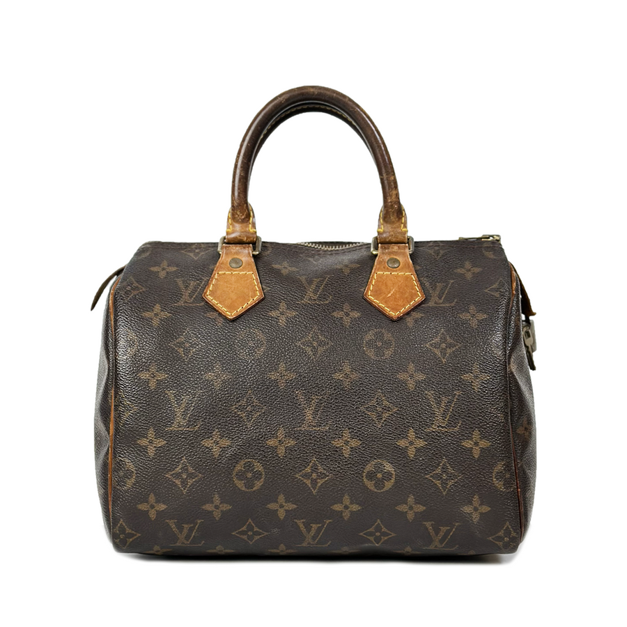 Louis Vuitton Speedy (25)