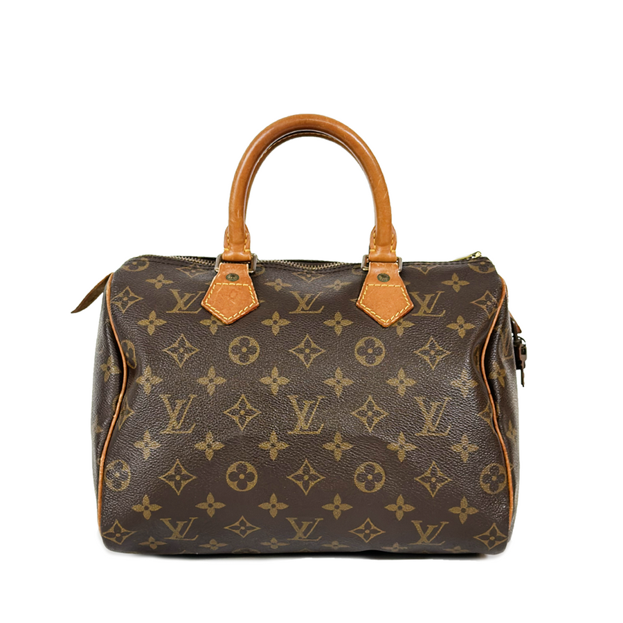 Louis Vuitton Speedy (25)