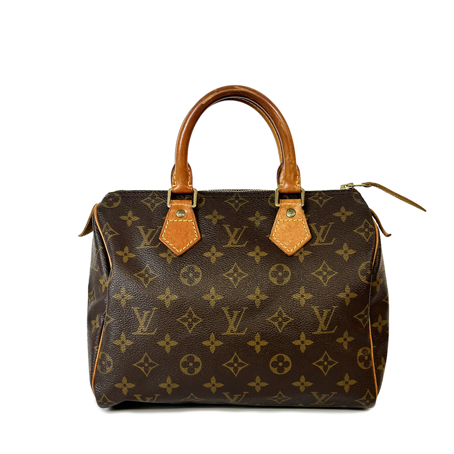 Louis Vuitton Speedy (25)