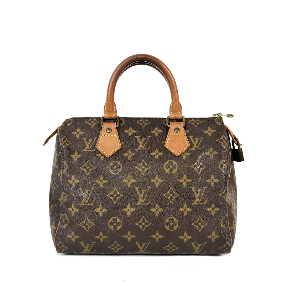 Louis Vuitton Speedy (25)