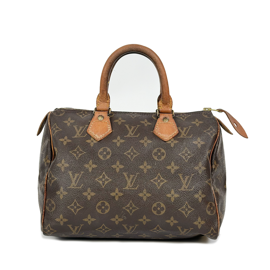 Louis Vuitton Speedy (25)