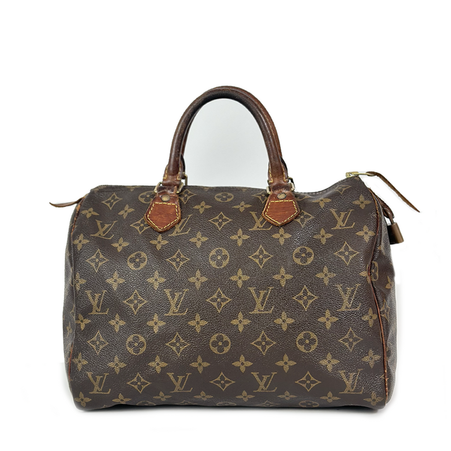 Louis Vuitton Speedy (30)