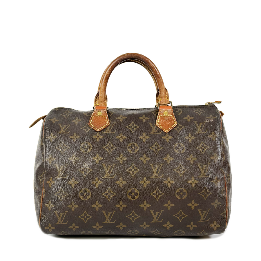 Louis Vuitton Speedy (30)