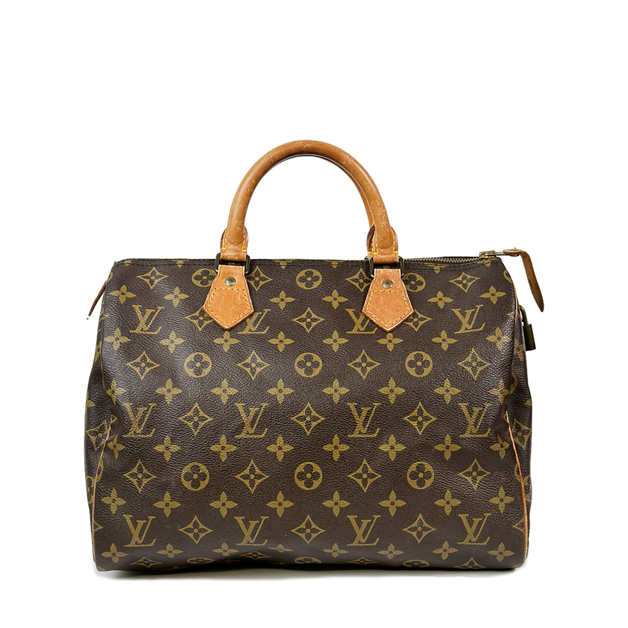 Louis Vuitton Speedy (30)