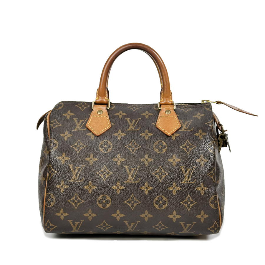 Louis Vuitton Speedy (25)