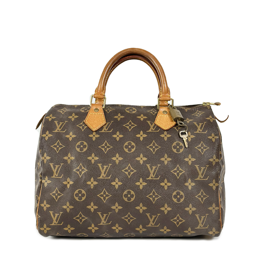 Louis Vuitton Speedy (30)