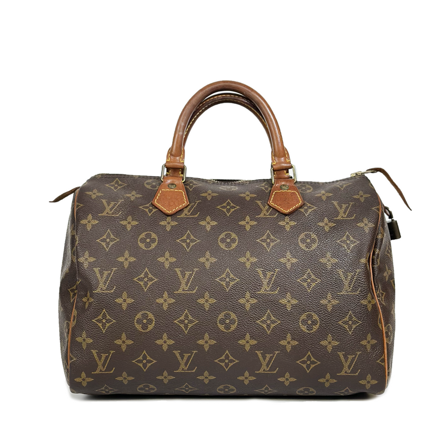 Louis Vuitton Speedy (30)