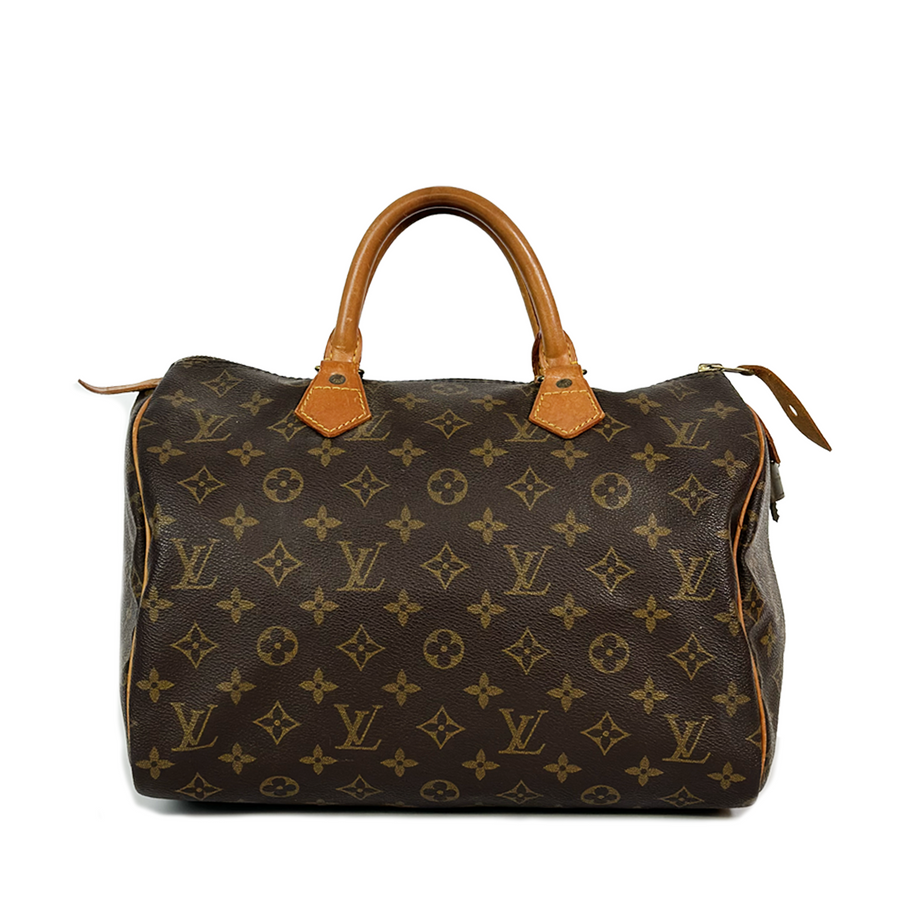 Louis Vuitton Speedy (30)