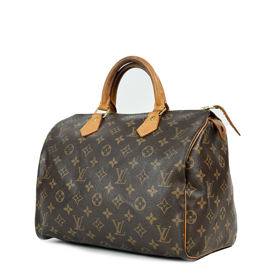 Louis Vuitton Speedy (30)