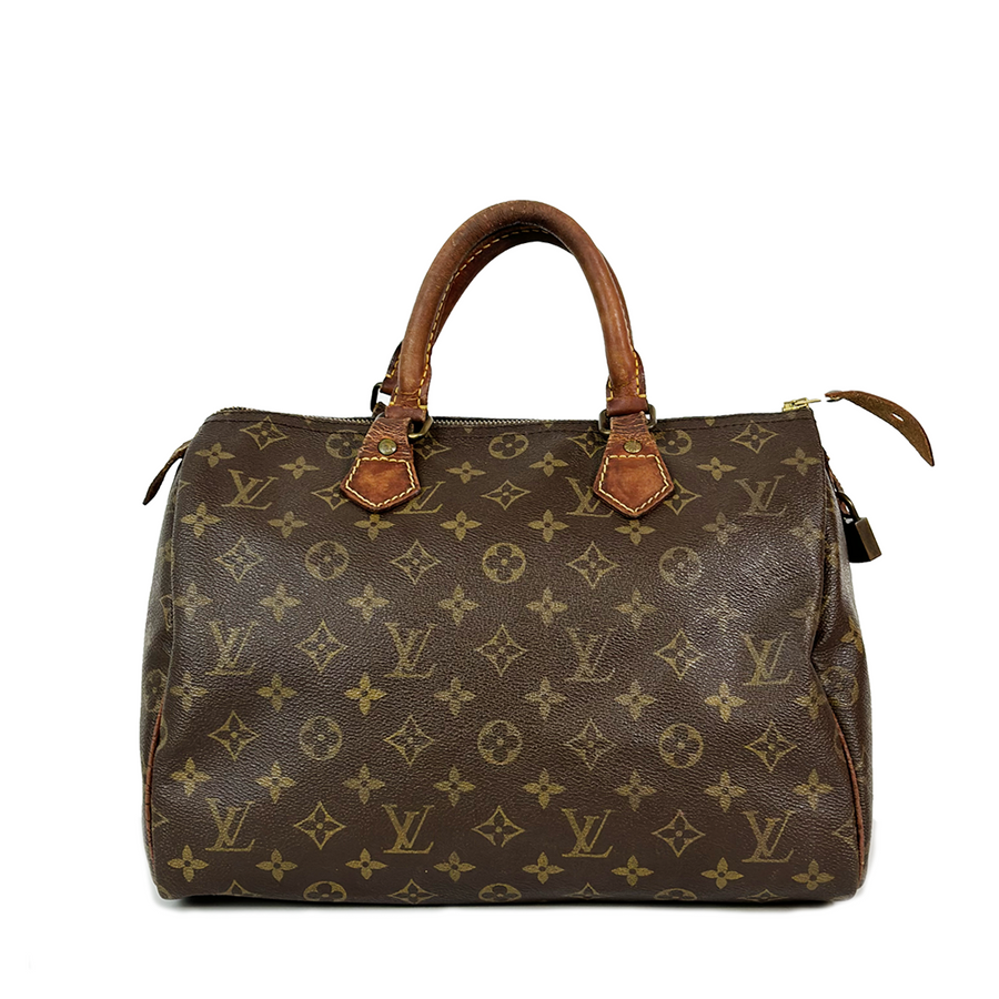 Louis Vuitton Speedy (30)