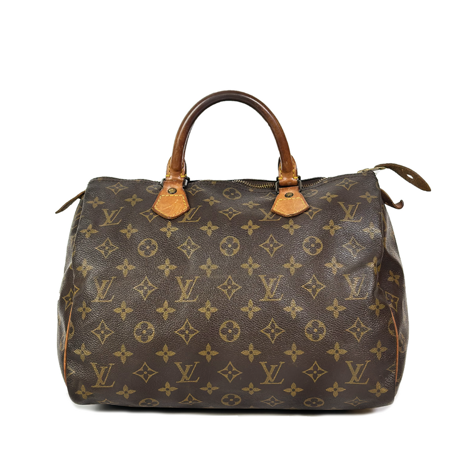 Louis Vuitton Speedy (30)