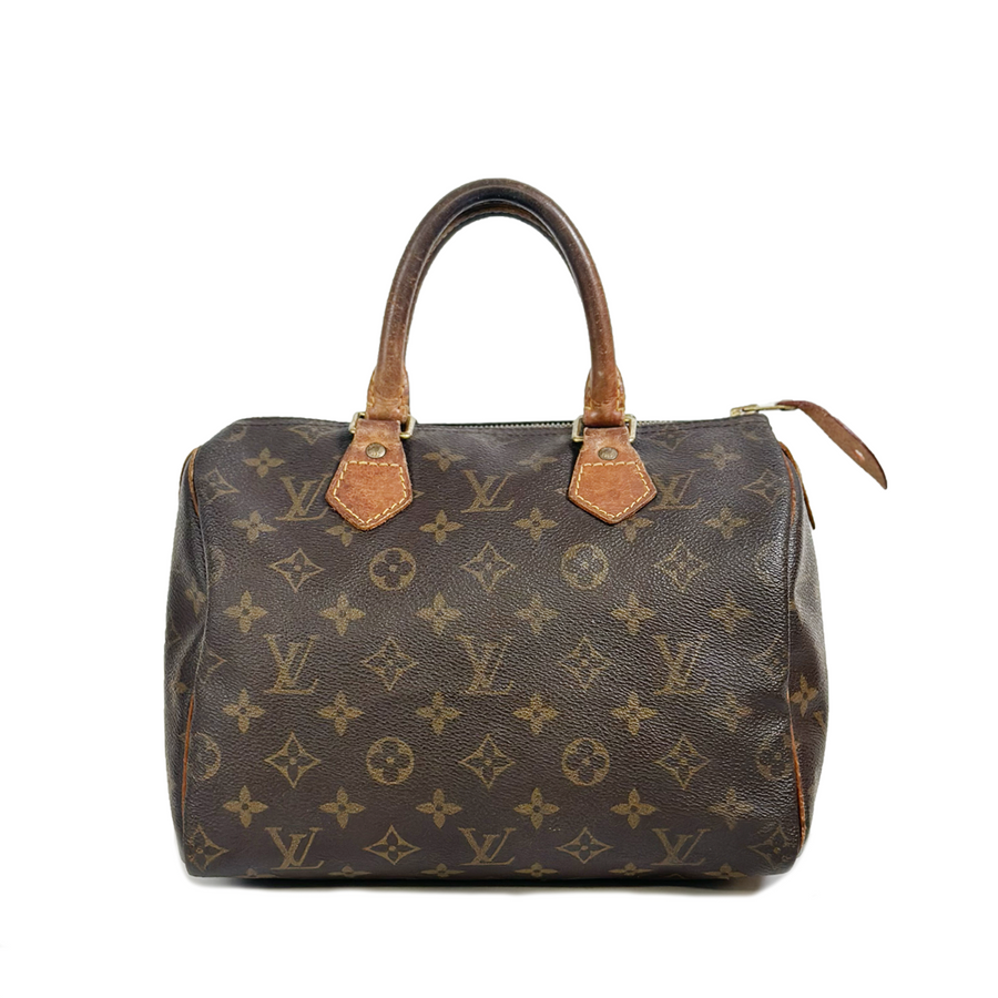 Louis Vuitton Speedy (25)