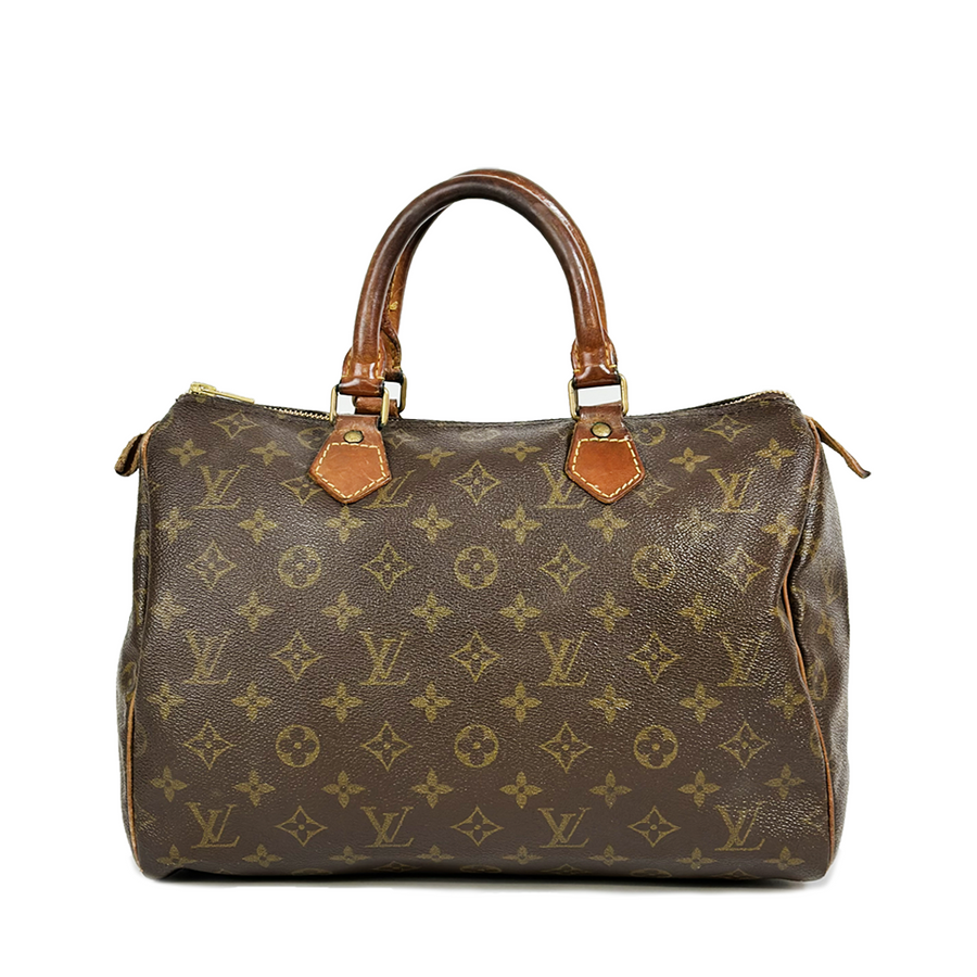 Louis Vuitton Speedy (30)