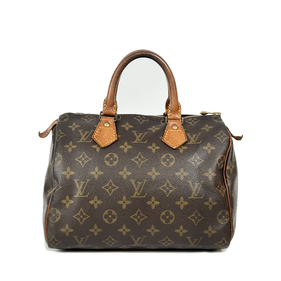 Louis Vuitton Speedy (25)