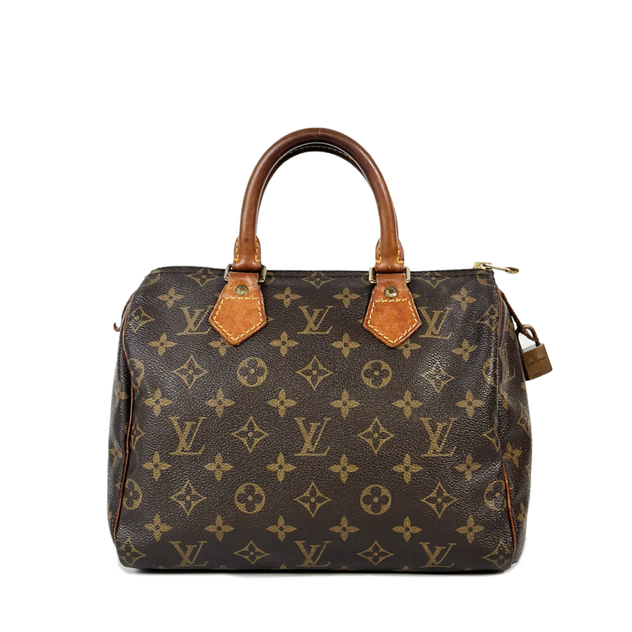 Louis Vuitton Speedy (25)