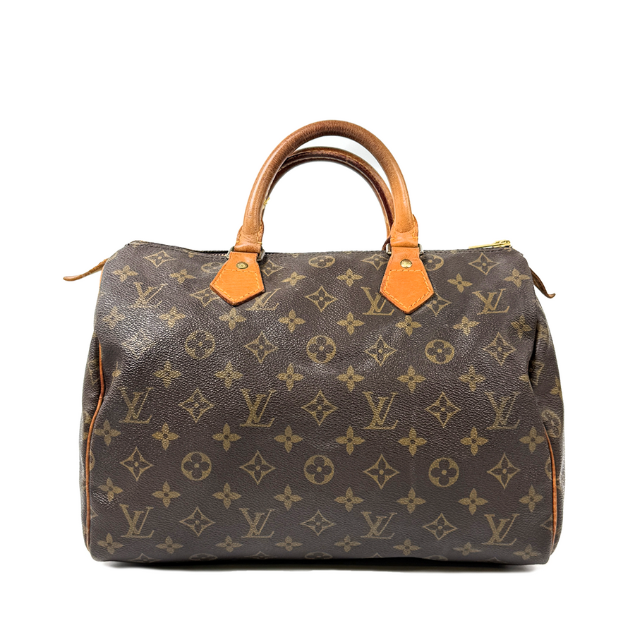 Louis Vuitton Speedy (30)