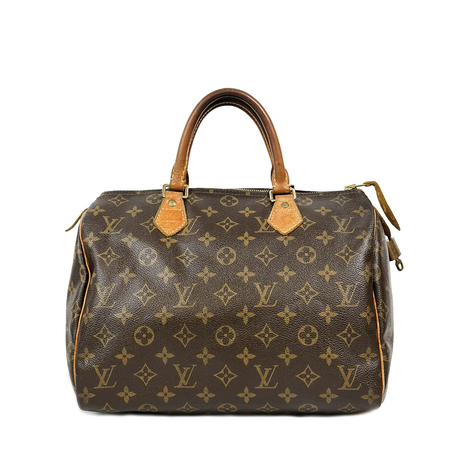 Louis Vuitton Speedy (30)