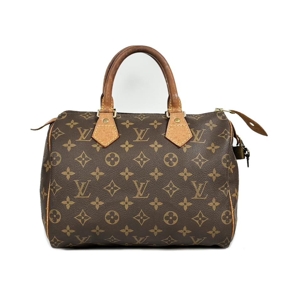 Louis Vuitton Speedy (25)