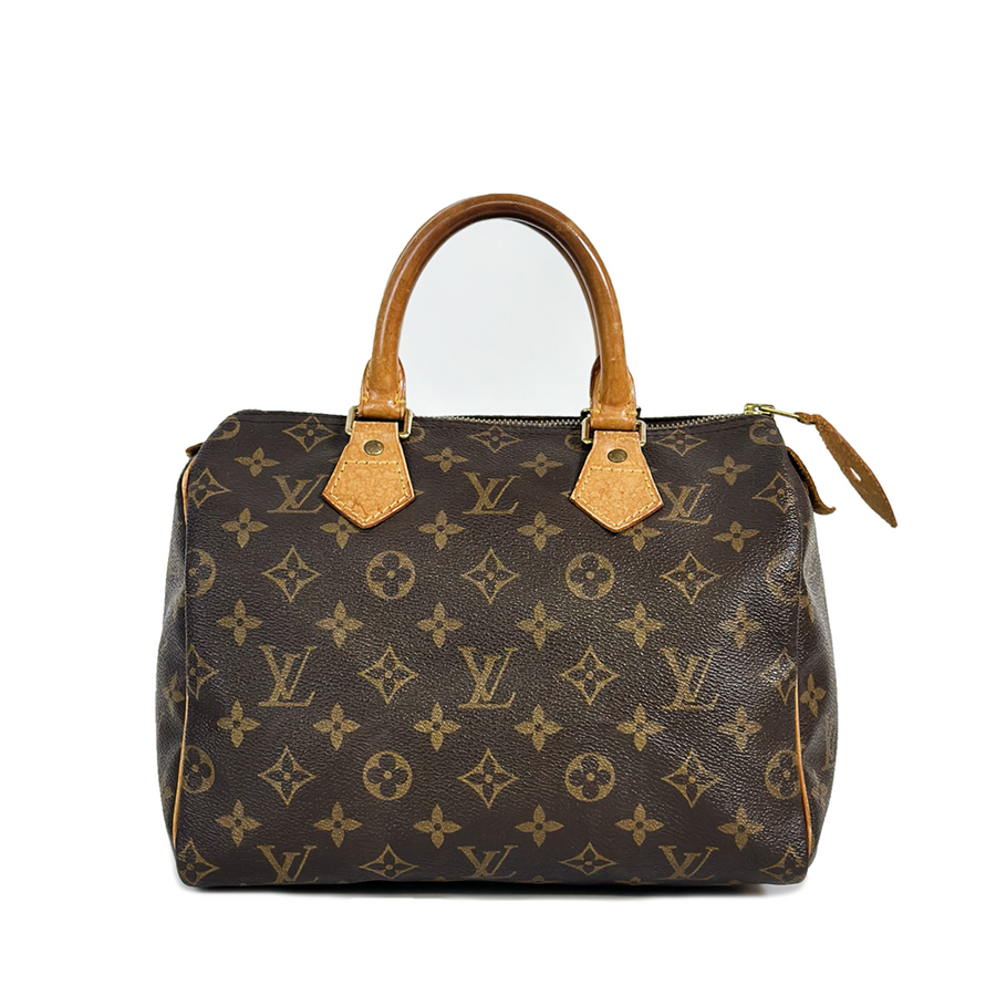 Louis Vuitton Speedy (25)