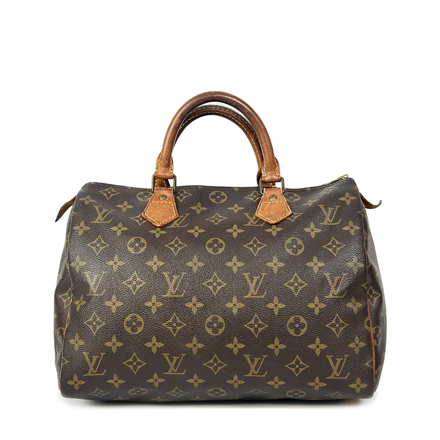 Louis Vuitton Speedy (30)