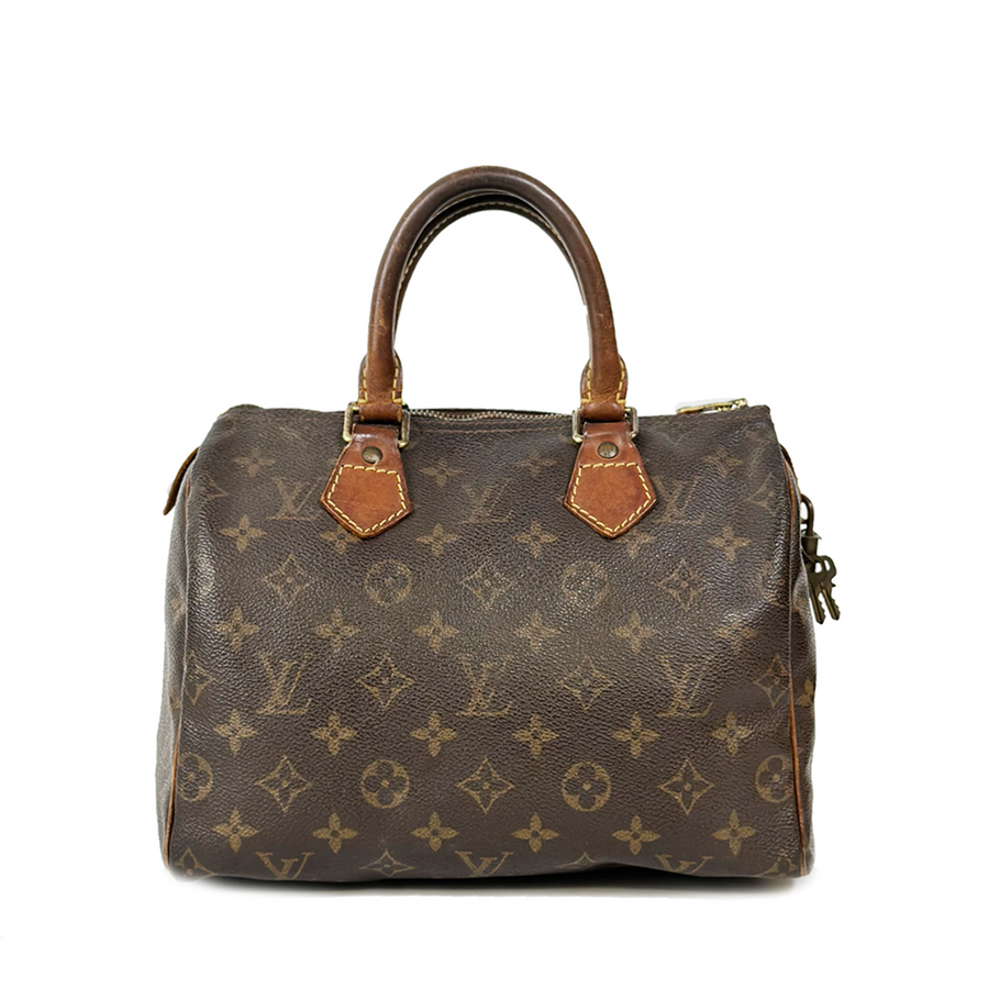 Louis Vuitton Speedy (25)