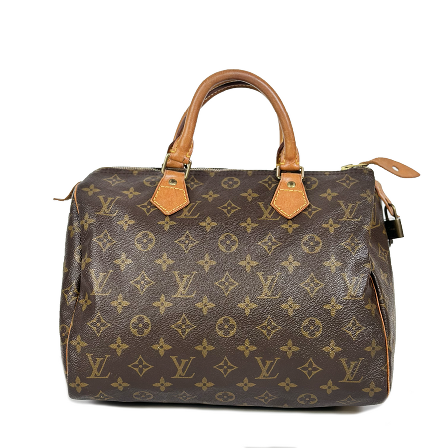 Louis Vuitton Speedy (30)