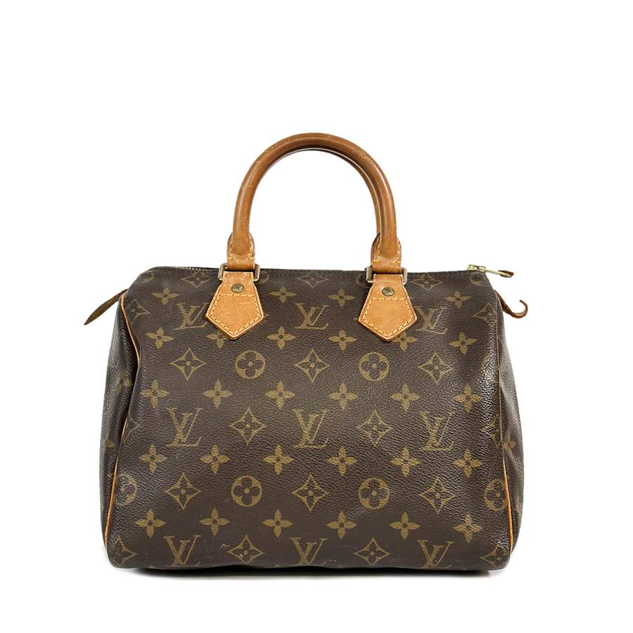 Louis Vuitton Speedy (25)