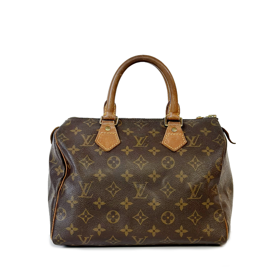 Louis Vuitton Speedy (25)