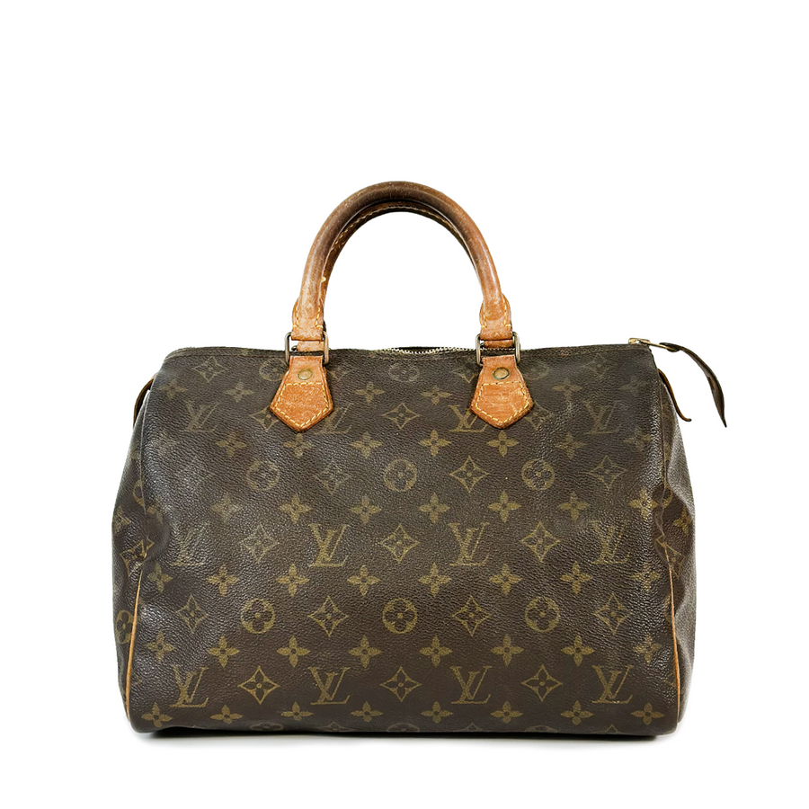 Louis Vuitton Speedy (30)