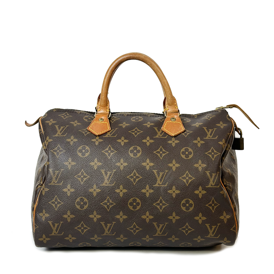 Louis Vuitton Speedy (30)