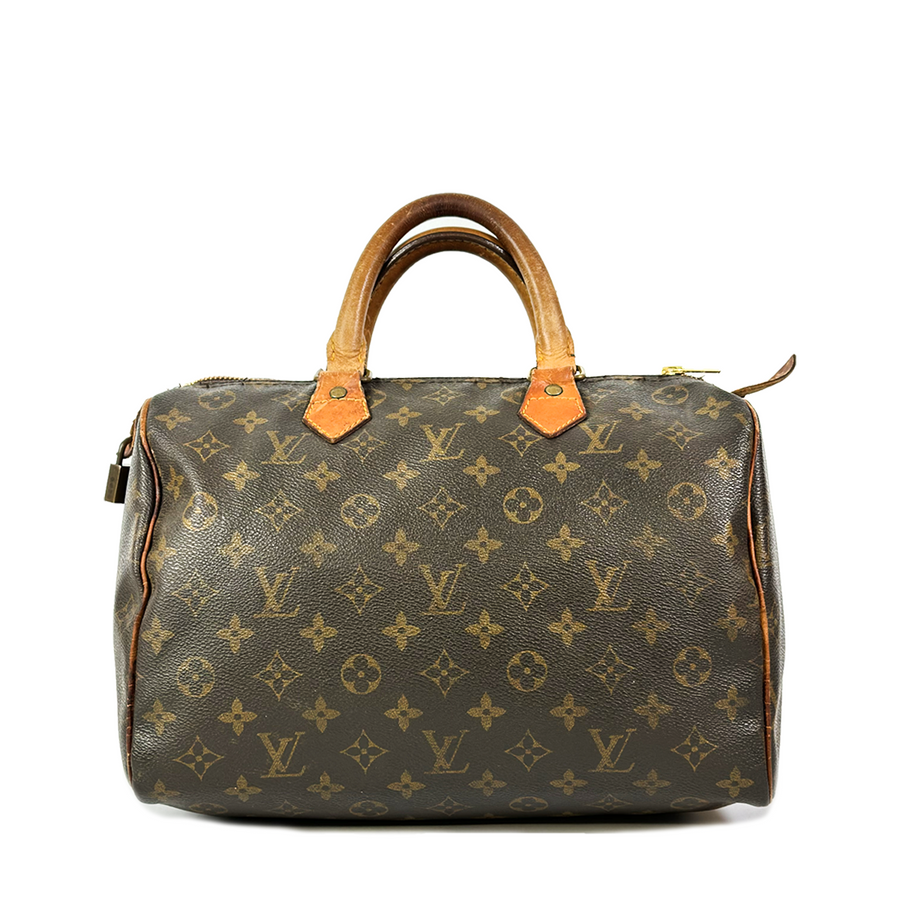 Louis Vuitton Speedy (30)