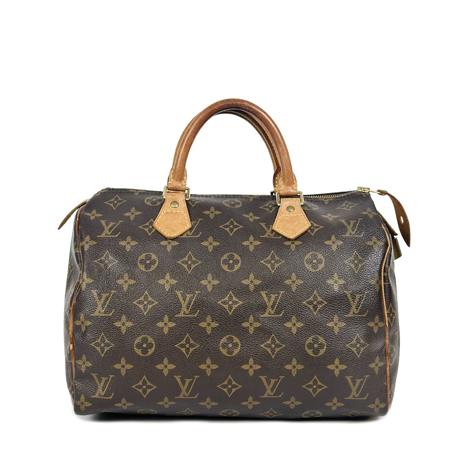 Louis Vuitton Speedy (30)