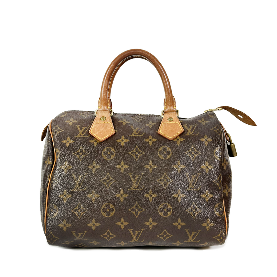 Louis Vuitton Speedy (25)