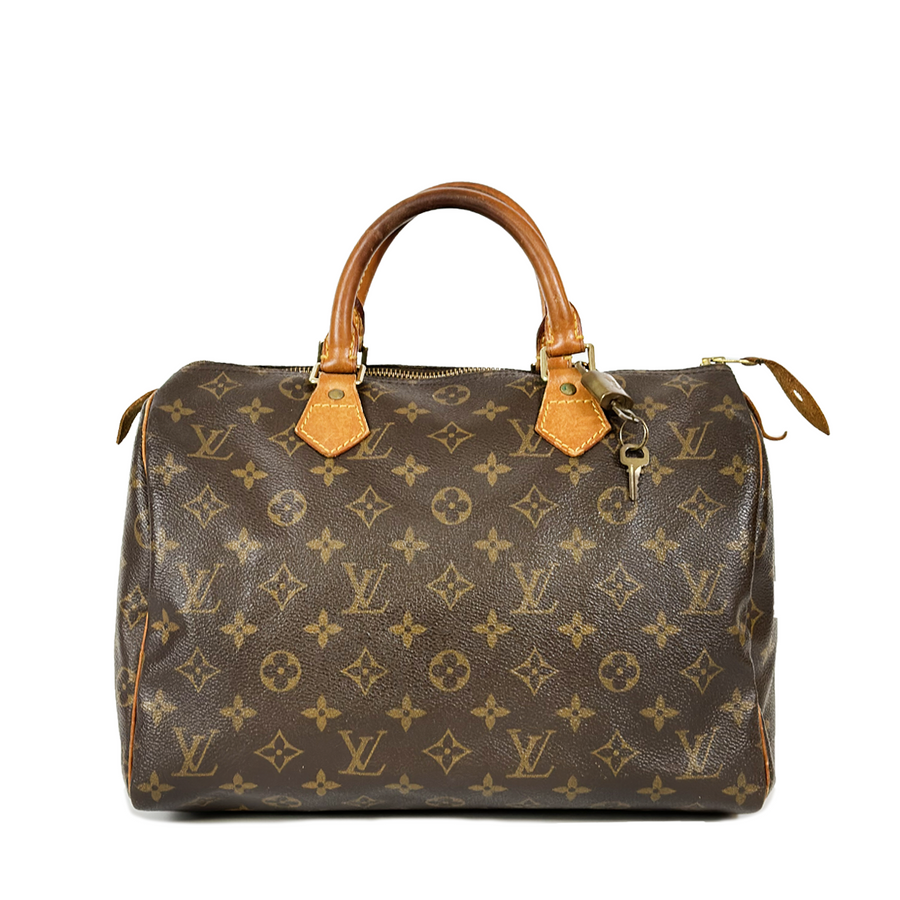 Louis Vuitton Speedy (30)