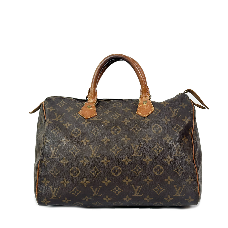 Louis Vuitton Speedy (30)