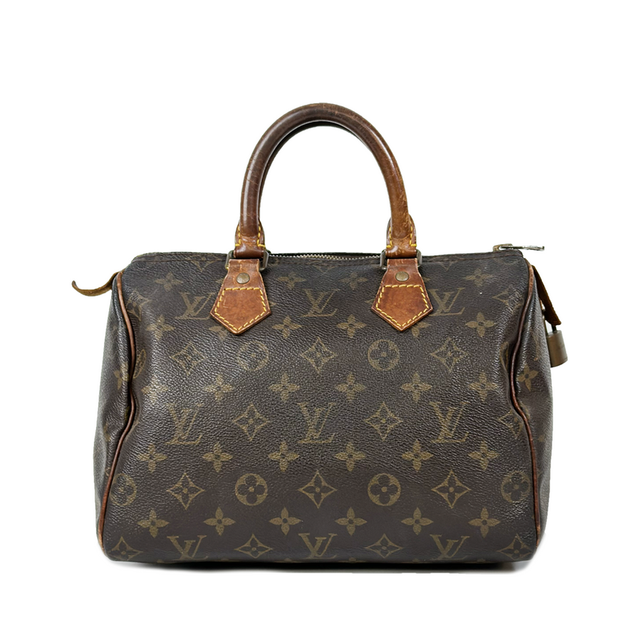 Louis Vuitton Speedy (25)