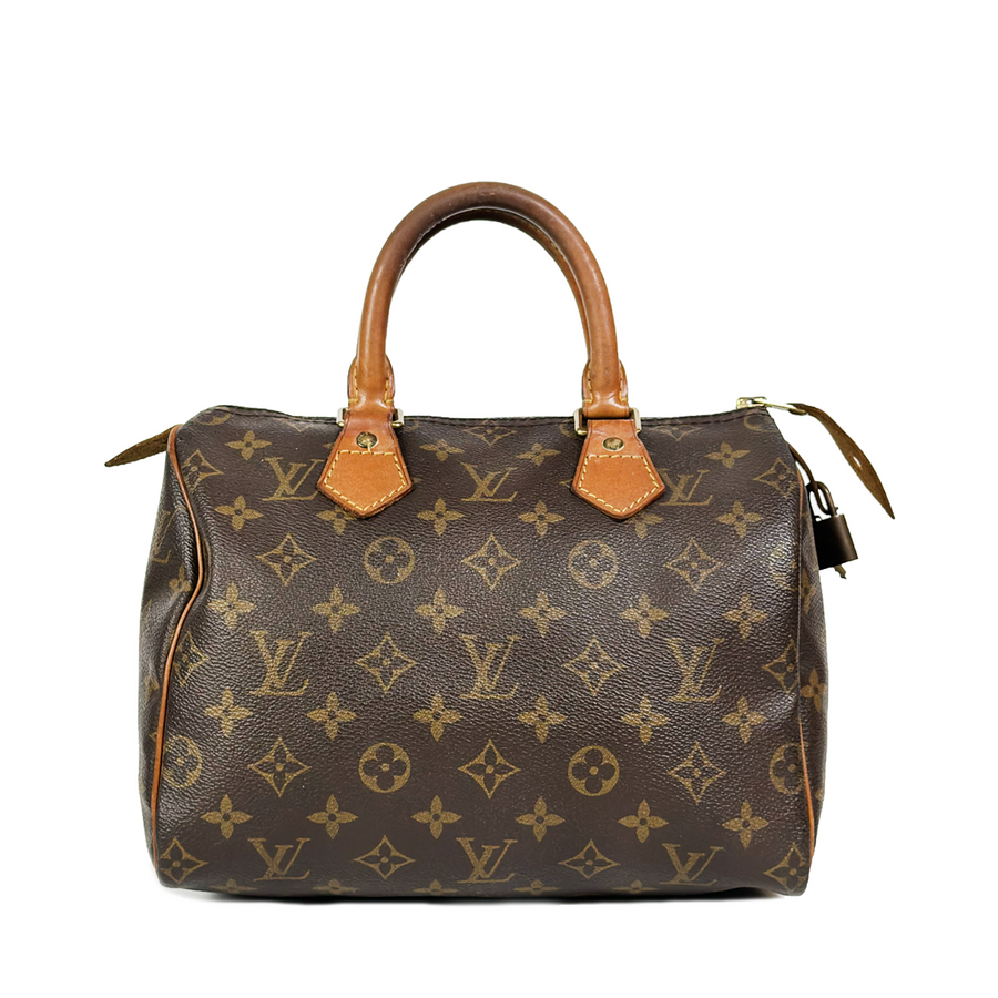 Louis Vuitton Speedy (25)