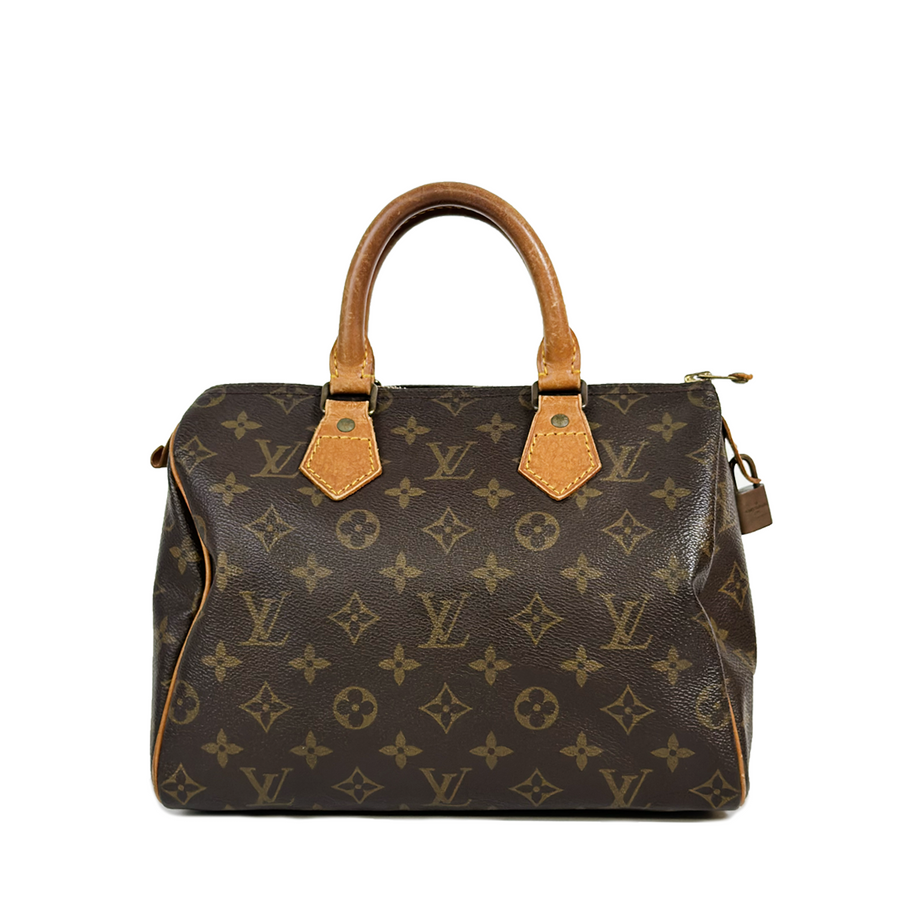 Louis Vuitton Speedy (25)