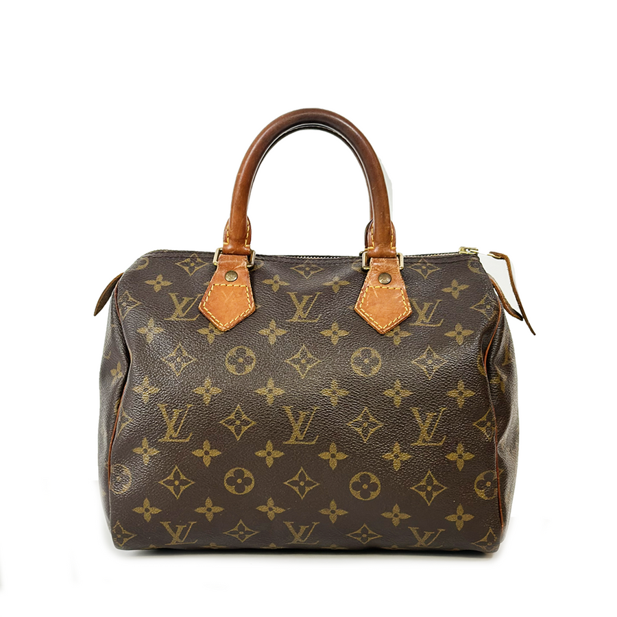 Louis Vuitton Speedy (25)