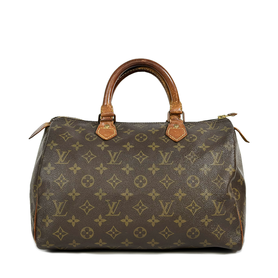 Louis Vuitton Speedy (30)