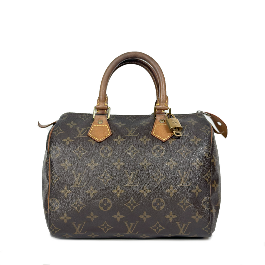 Louis Vuitton Speedy (25)