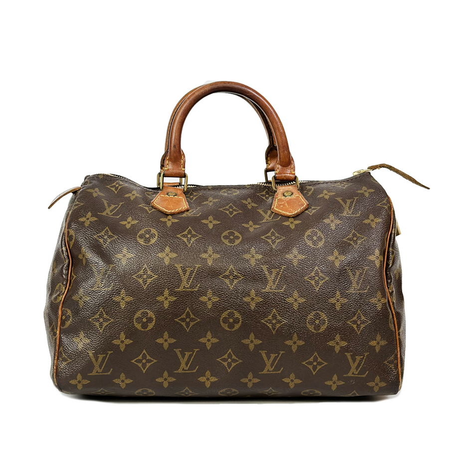 Louis Vuitton Speedy (30)