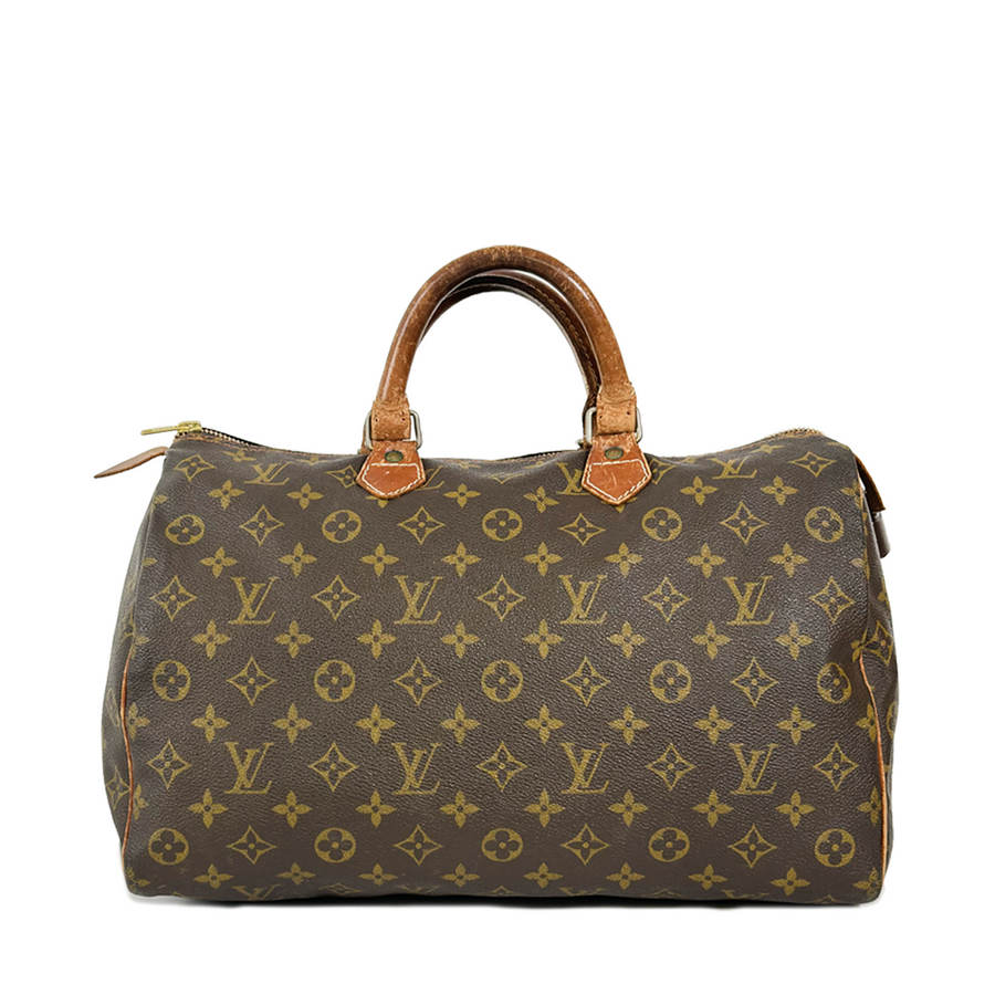 Louis Vuitton Speedy (30)