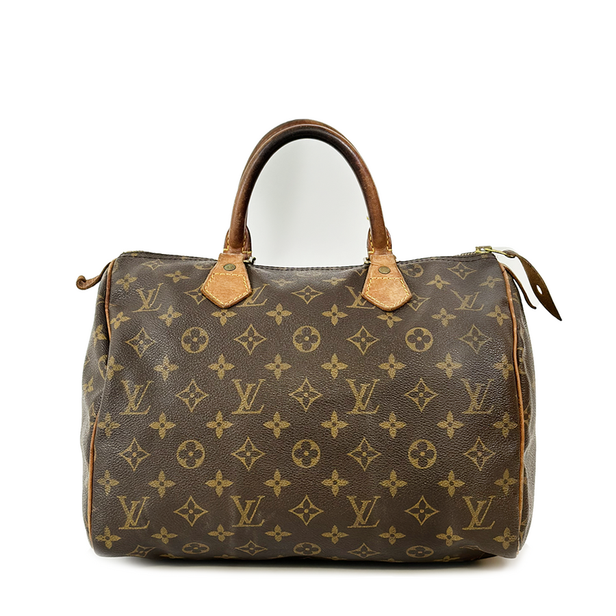 Louis Vuitton Speedy (30)