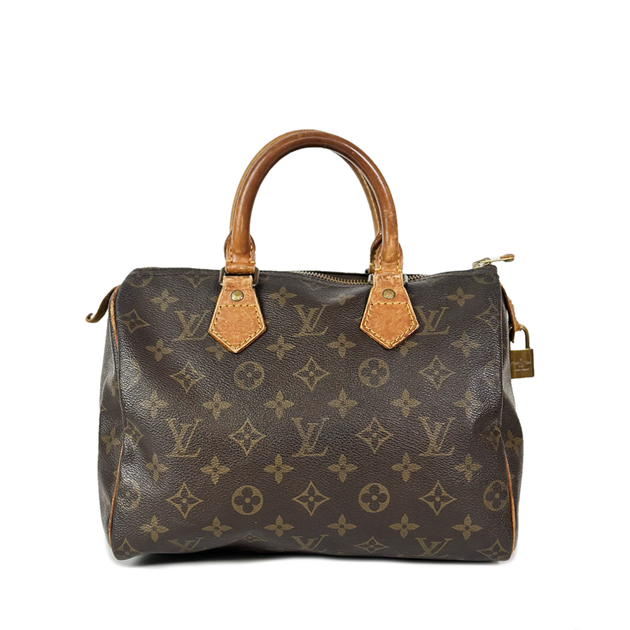 Louis Vuitton Speedy (25)