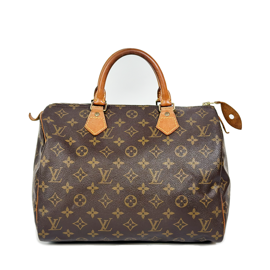 Louis Vuitton Speedy (30)