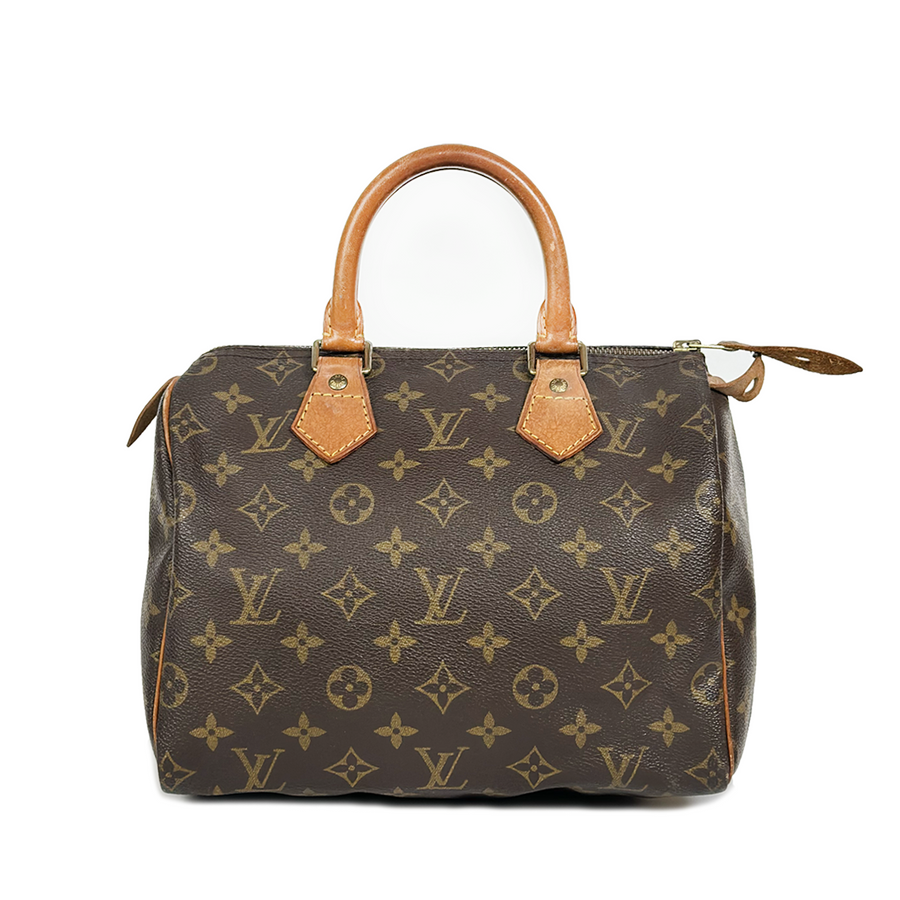 Louis Vuitton Speedy (25)