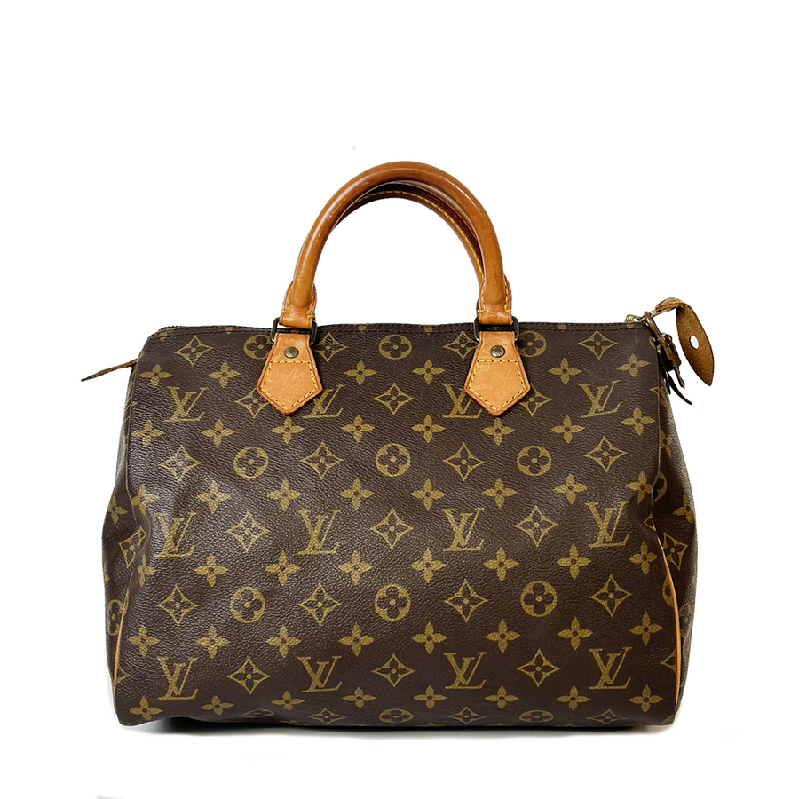 Louis Vuitton Speedy (30)