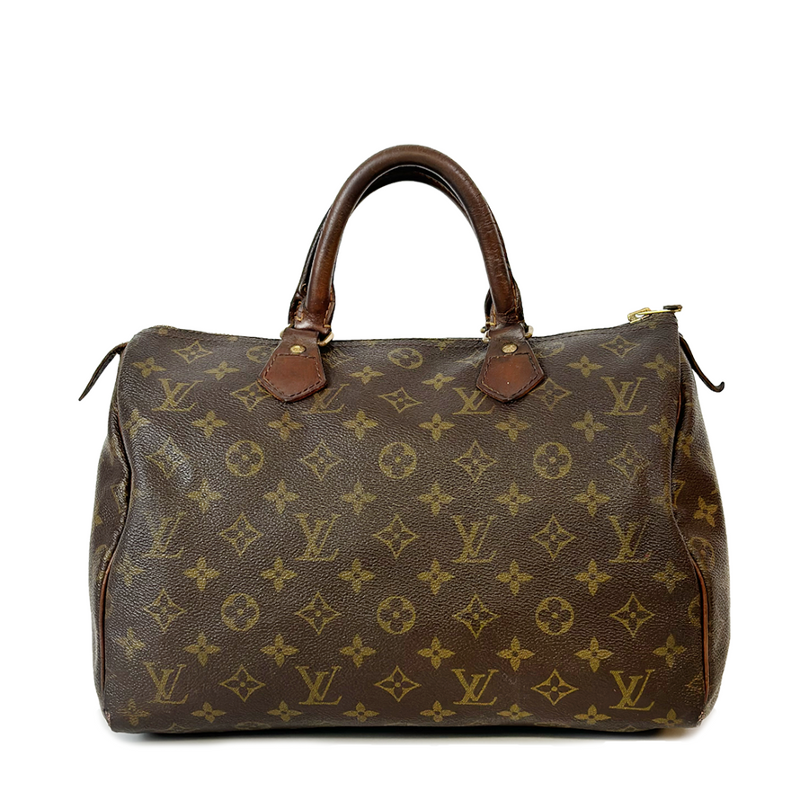 Louis Vuitton Speedy (30)